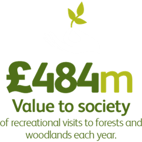 £484m Value to society of recreational visits to forests each year