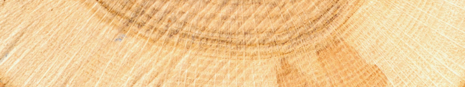 Log rings