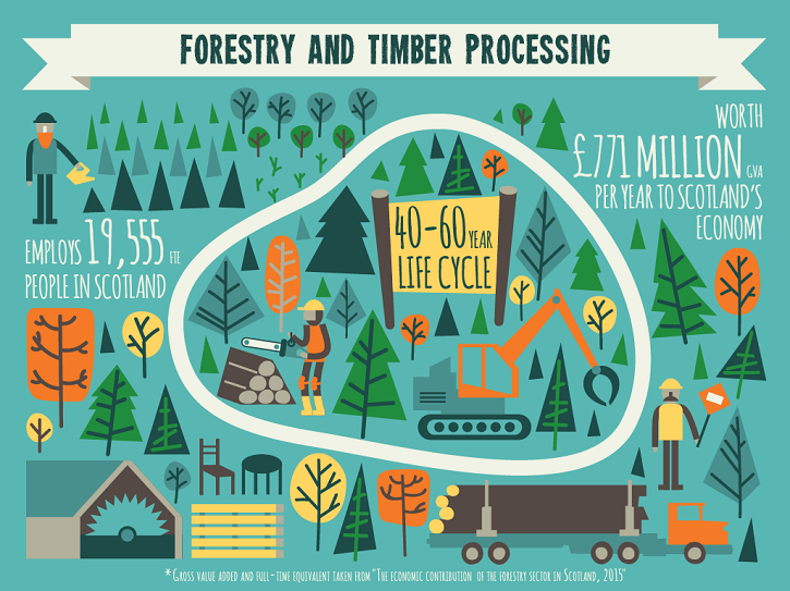 Forestry and timber processing