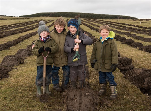 Doddington - kids planting