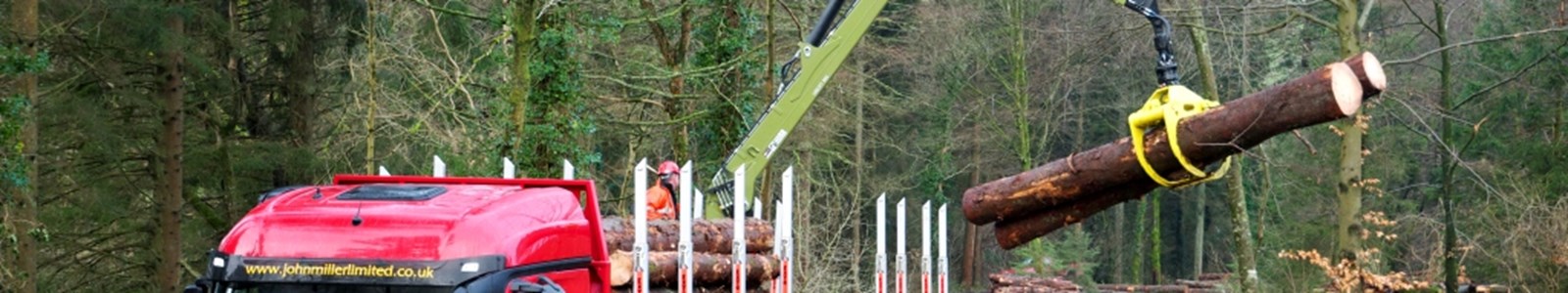 timber loading