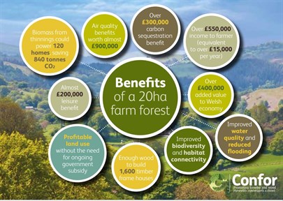 Farm forest benefits in Wales