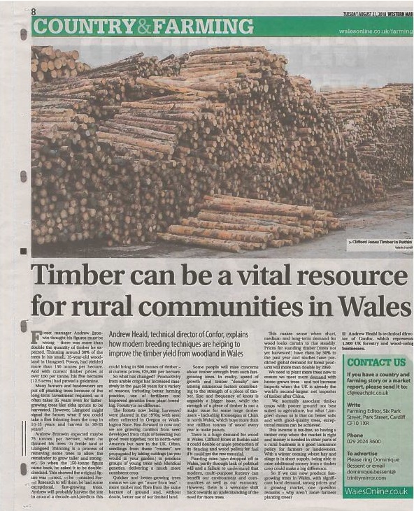 Timber a vital resource - Western Mail 21 08 2018 (2)