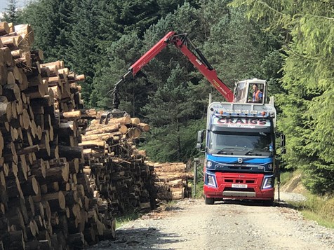 Loading logs to lorry in forest