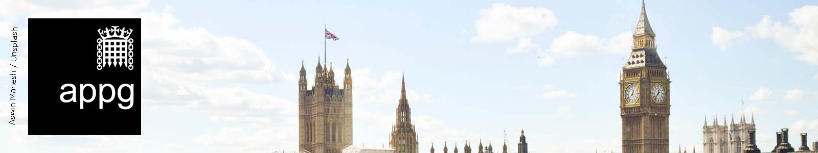 APPG Westminster