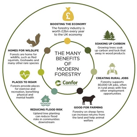 Benefits of forestry infographic
