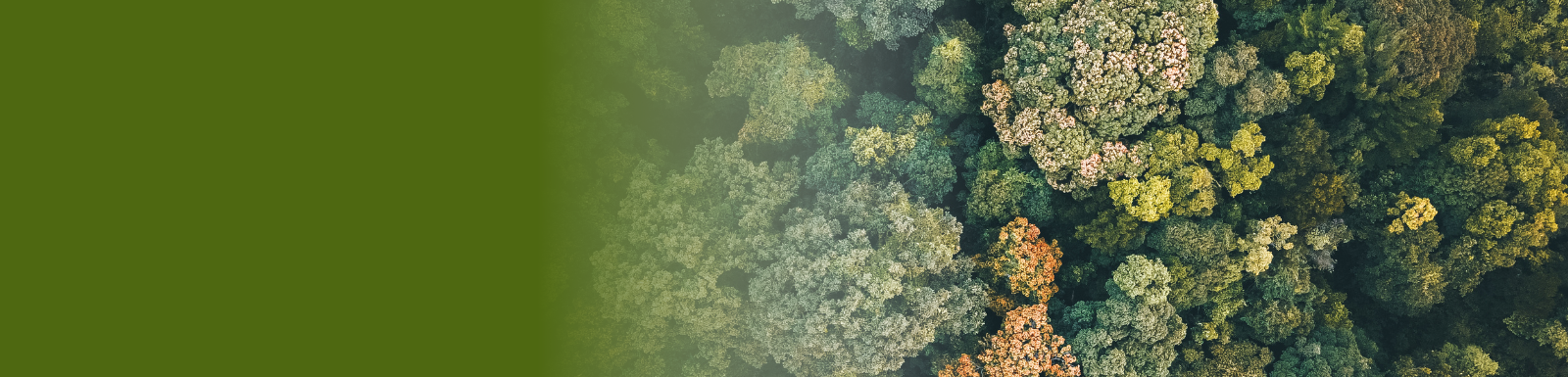 Mixed Woodland Banner