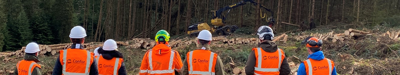 Confor guests at harvesting site