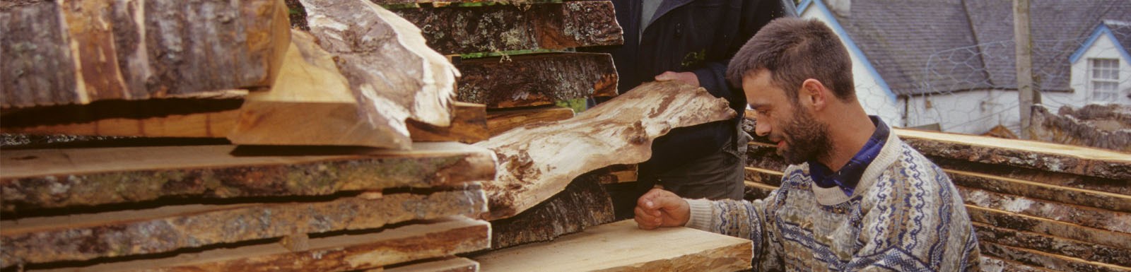 man checking timber