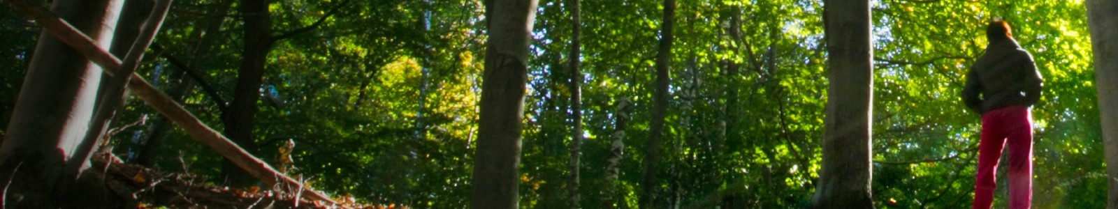 Hiker