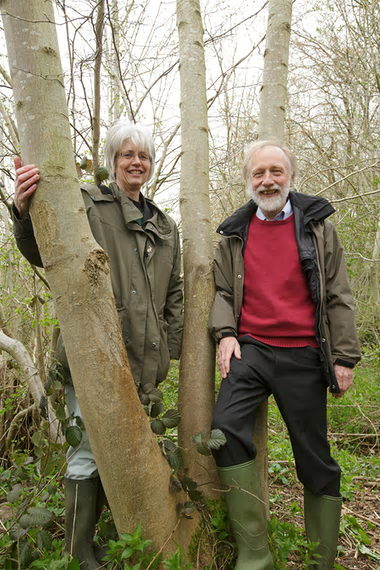 Ash dieback couple