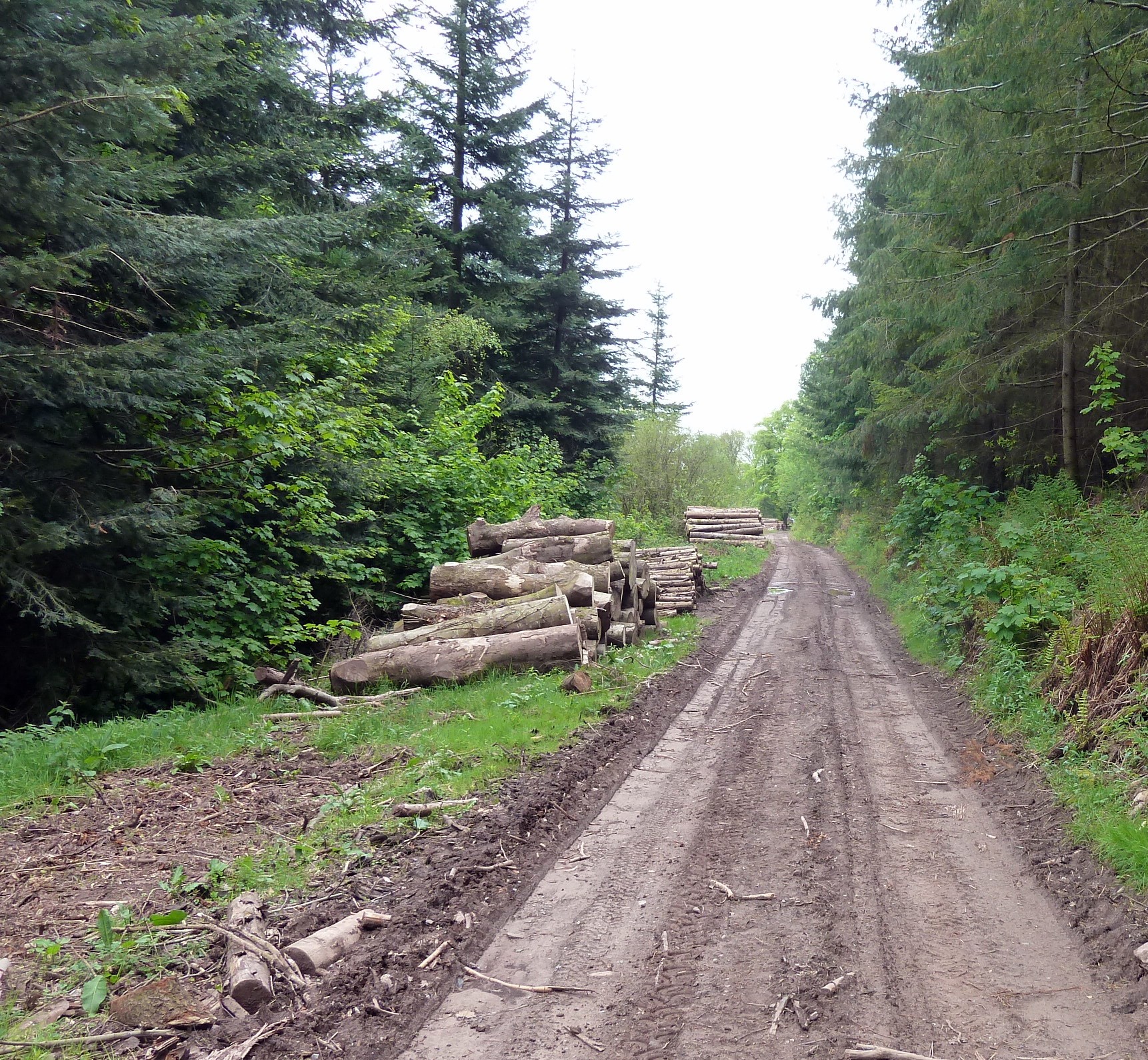 Wood stacks - RFS conference