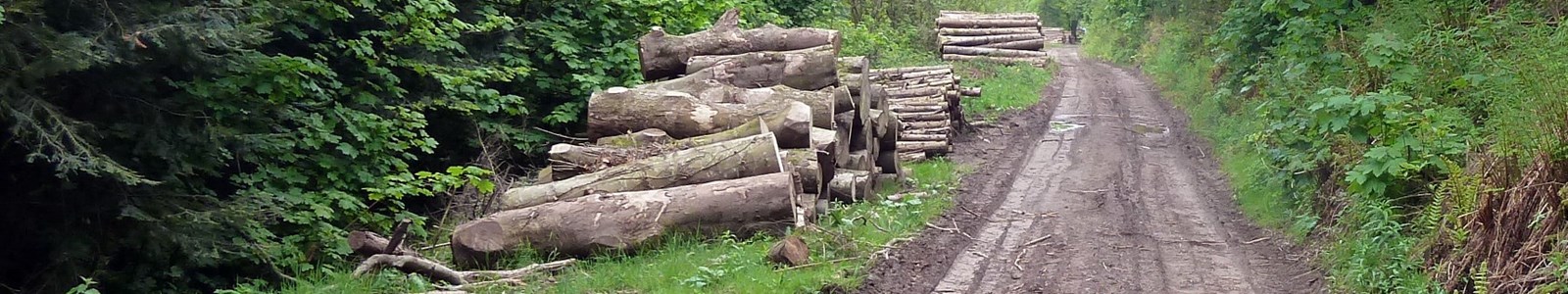 Wood stacks - RFS conference