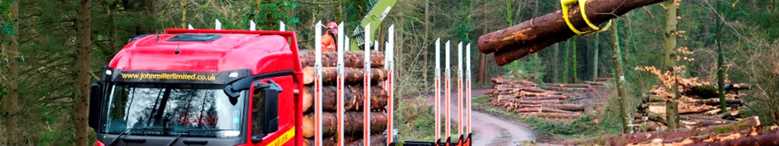 timber loading