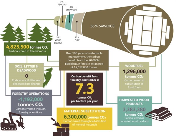 Eskdalemuir summary graphic