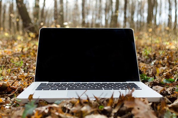 laptop in forest