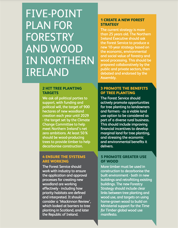 NI Manifesto 5 point plan