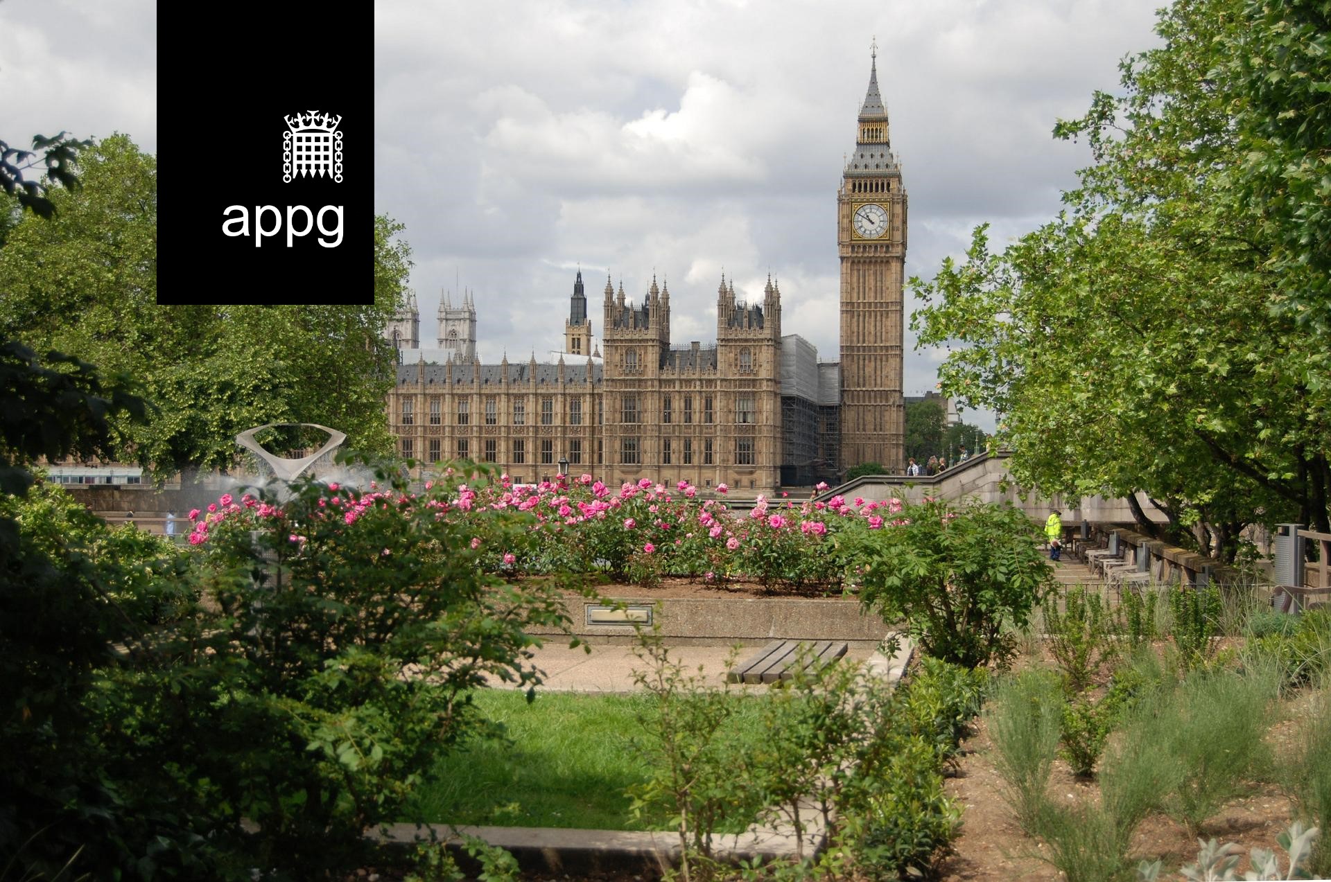 Image of Westminster Abbey, London, overlaid with APPG logo.