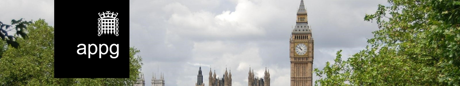 Image of Westminster Abbey, London, overlaid with APPG logo.