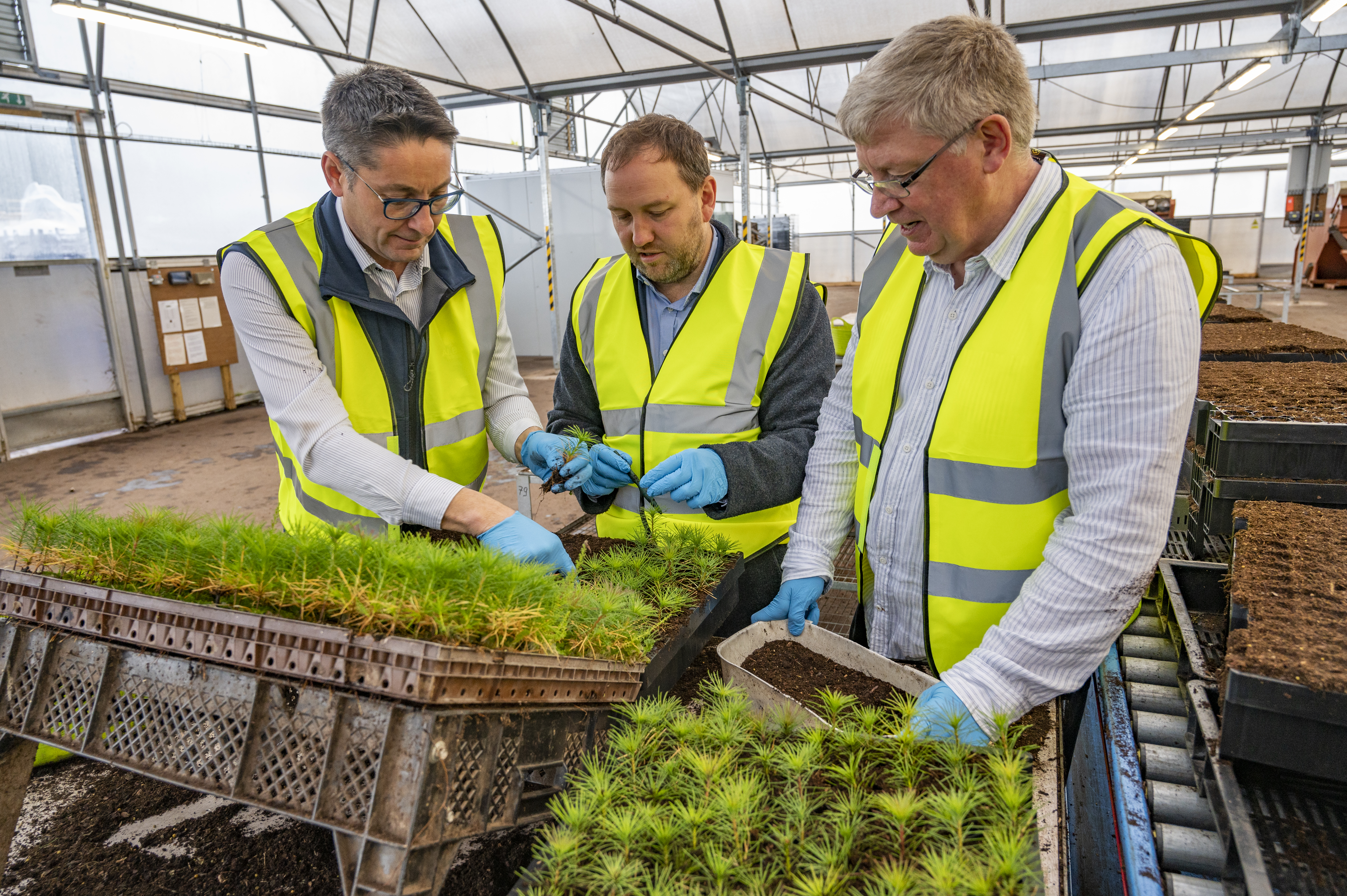 Craig Turner of Alba Trees, Ian Murray MP and Martin Whitfield MSP