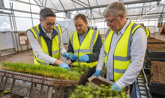 Craig Turner of Alba Trees, Ian Murray MP and Martin Whitfield MSP