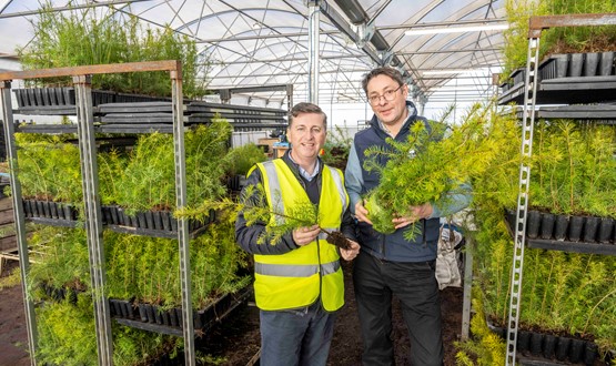 Douglas Alexander at Alba Trees