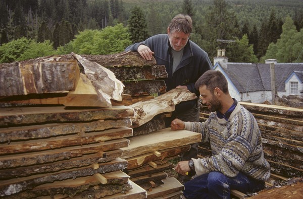 locals checking timber