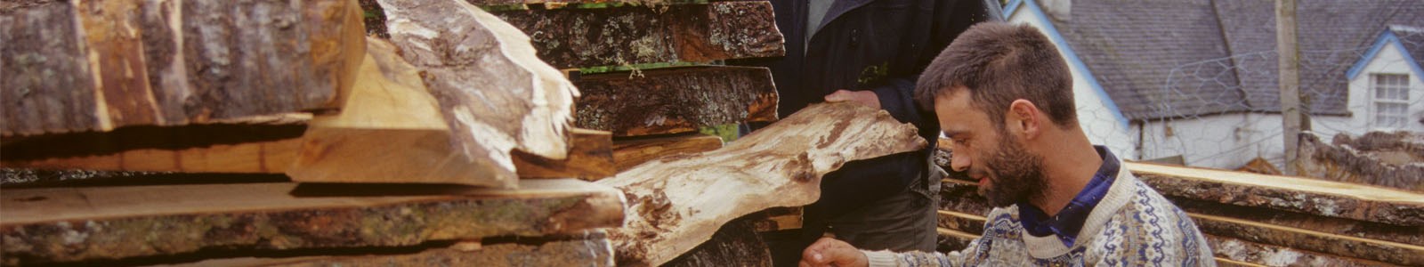 man checking timber