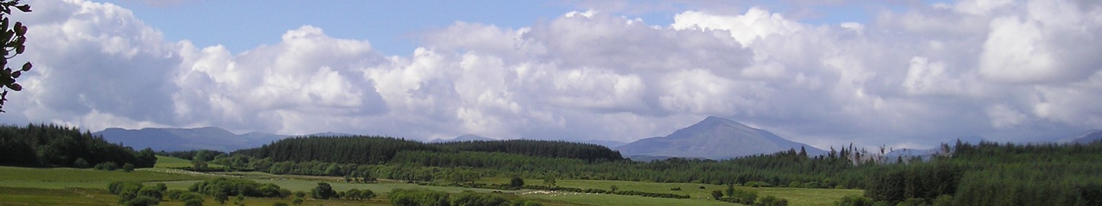 landscape with sheep and farm woodlands