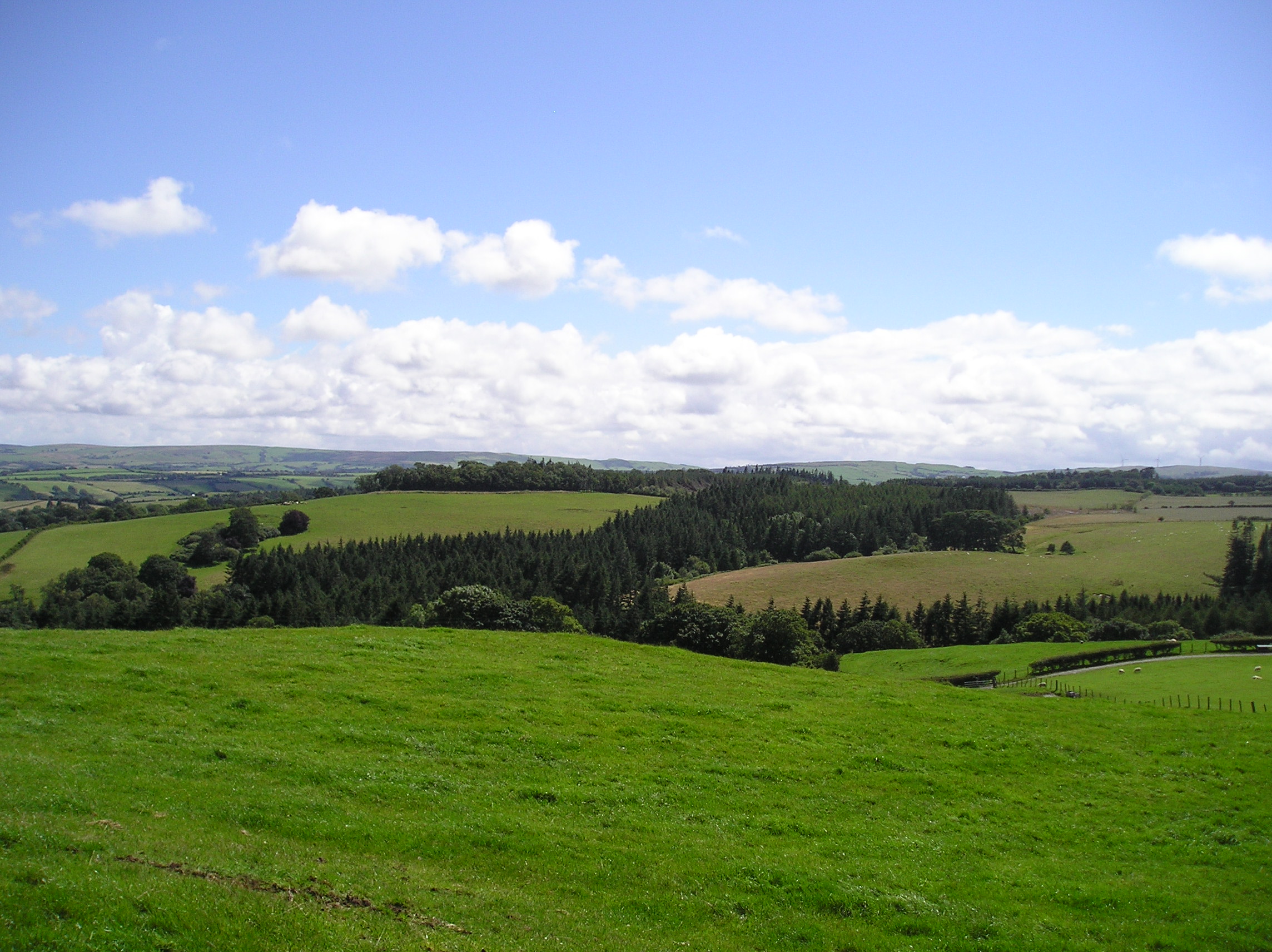 Farm landscape with woodland