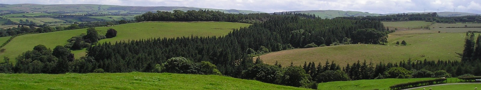 Farm landscape with woodland