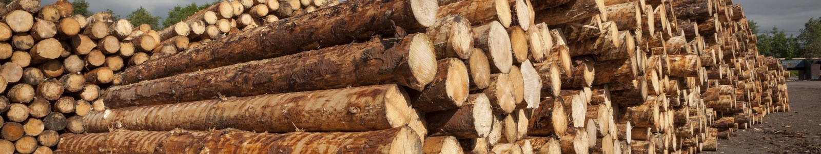 james jones logs
