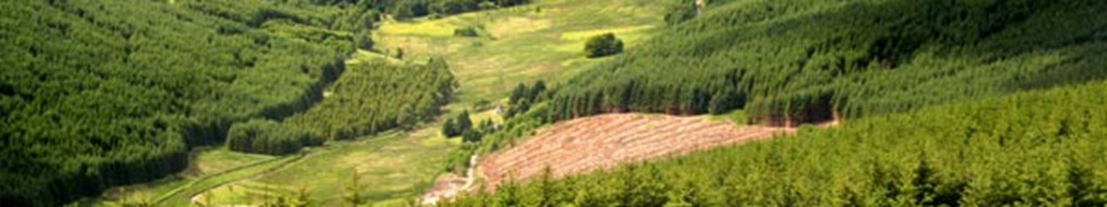 Striding arches byre locharbrigg modern forestry - from internet